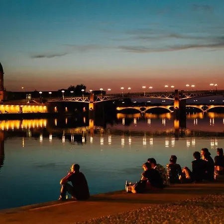 Apartament Hypercentre Historique Daurade *