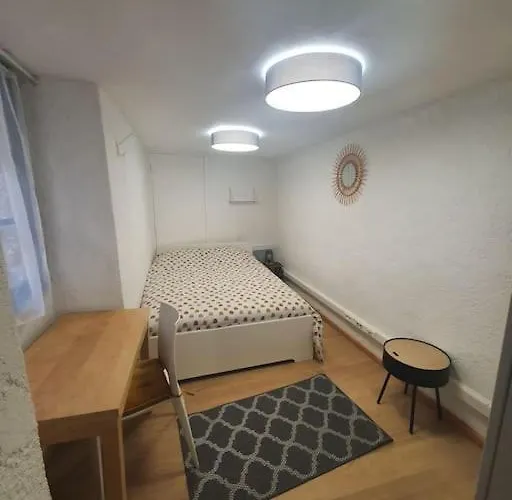 Hypercentre Historique Daurade Toulouse