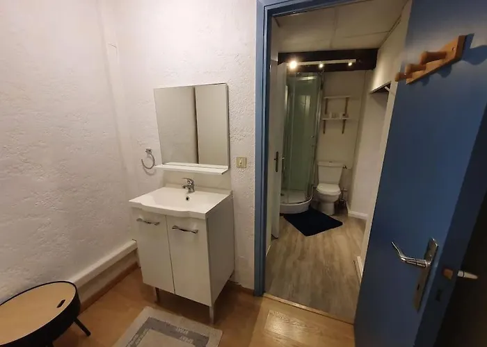 Lejlighed Hypercentre Historique Daurade *